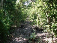 thumb_1240_4.jpg