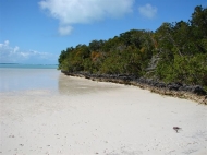 thumb_1240_5.jpg