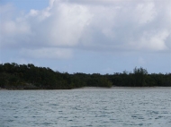 thumb_1240_6.jpg
