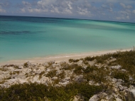 thumb_1302_roseisland.jpg