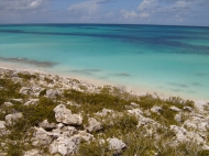 thumb_1302_roseisland2.jpg