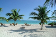 thumb_1446_bahamasbig563390121.jpg