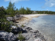 thumb_1457_2.jpg