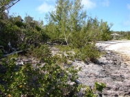 thumb_1457_3.jpg
