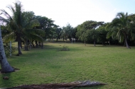 thumb_1585_kingsgrounds.jpg