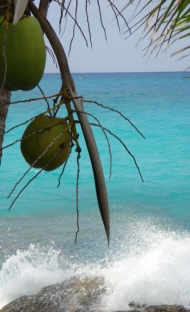 thumb_1814_tourpicture1235019509.jpg