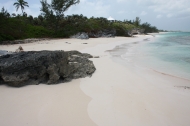 thumb_1913_img1870.jpg