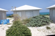 thumb_1913_img1883.jpg
