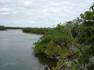 thumb_2180_re7051.jpg