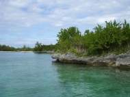 thumb_2180_re70511.jpg