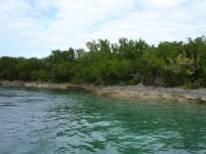 thumb_2180_re70513.jpg