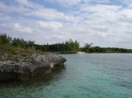 thumb_2180_re70514.jpg