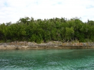 thumb_2180_re70516.jpg