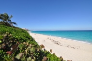 Click to view the listing