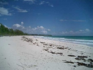 thumb_2210_bahamapalmshoresbeach.jpg