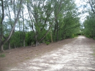 thumb_2219_img11101.jpg