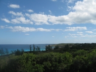 thumb_2219_img1203.jpg
