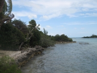 Click to view the listing