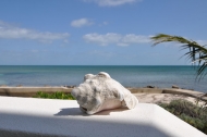 thumb_2233_webfeb10021.jpg