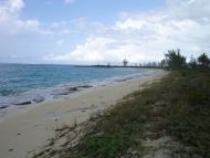 thumb_2288_2.jpg