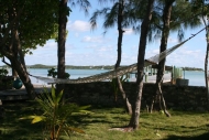 thumb_2512_img8975.jpg