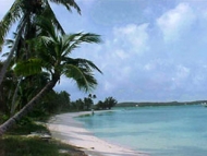 Tahiti Beach 