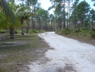 Click to view the listing