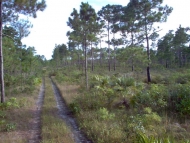 thumb_2594_72521.jpg