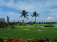 thumb_3065_photoserver5.jpg