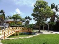 thumb_3270_fishpond2.jpg