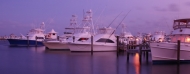 thumb_3400_picture4.jpg