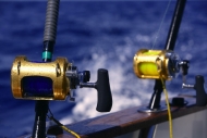 thumb_3400_shutterstock45582643.jpg