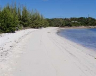 thumb_3403_beachshot.jpg