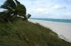 thumb_672_newmanbch3.web2jpg.jpg