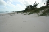 thumb_672_p61742.jpg