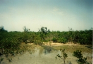 thumb_743_tour_picture_28_874_15587.jpg