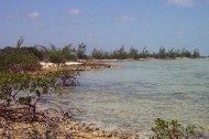 thumb_743_tour_picture_4_730_15587.jpg