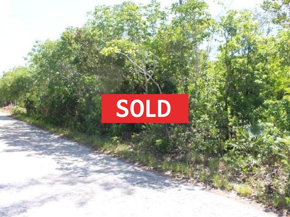 /listing-sold-abaco-lot-with-beach-access-47935.html from Coldwell Banker Bahamas Real Estate