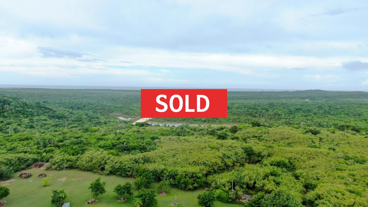 /listing-sold-elevated-lot-with-views-turtle-cove-32387.html from Coldwell Banker Bahamas Real Estate