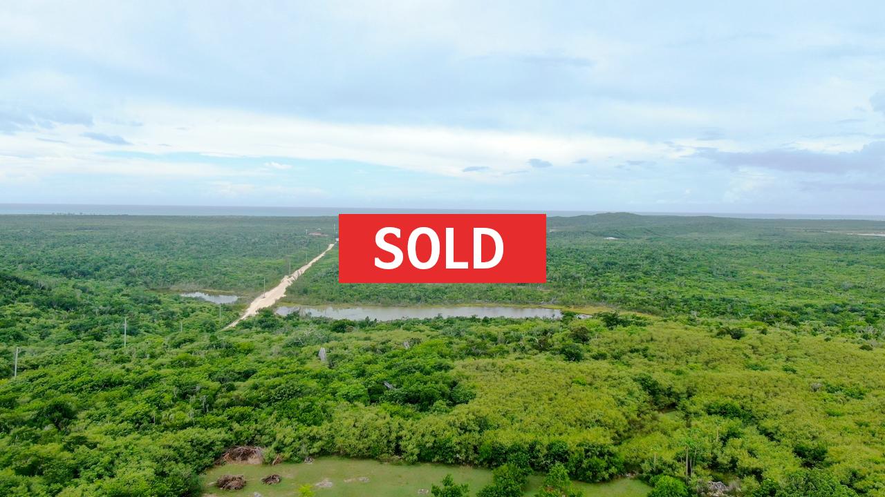 /listing-sold-elevated-lot-with-views-turtle-cove-32388.html from Coldwell Banker Bahamas Real Estate
