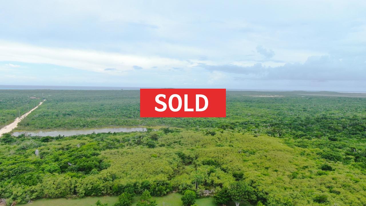 /listing-sold-elevated-lot-with-views-turtle-cove-32389.html from Coldwell Banker Bahamas Real Estate