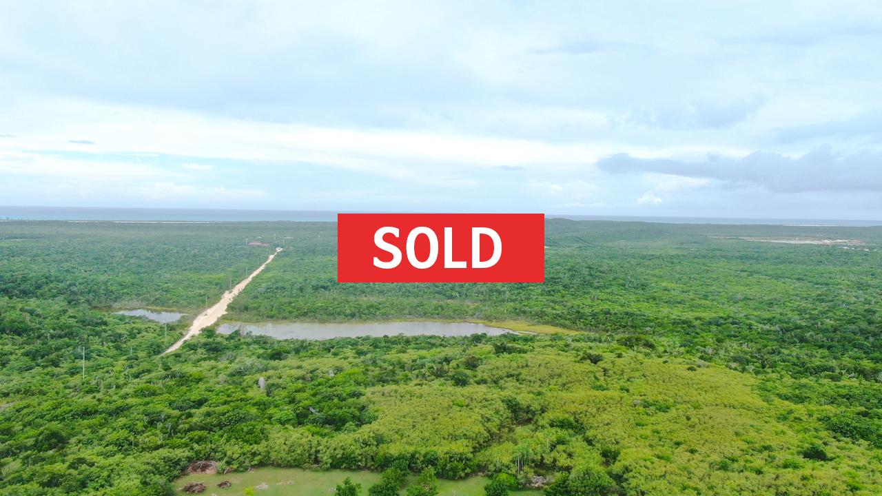 /listing-sold-elevated-lot-with-views-turtle-cove-32390.html from Coldwell Banker Bahamas Real Estate