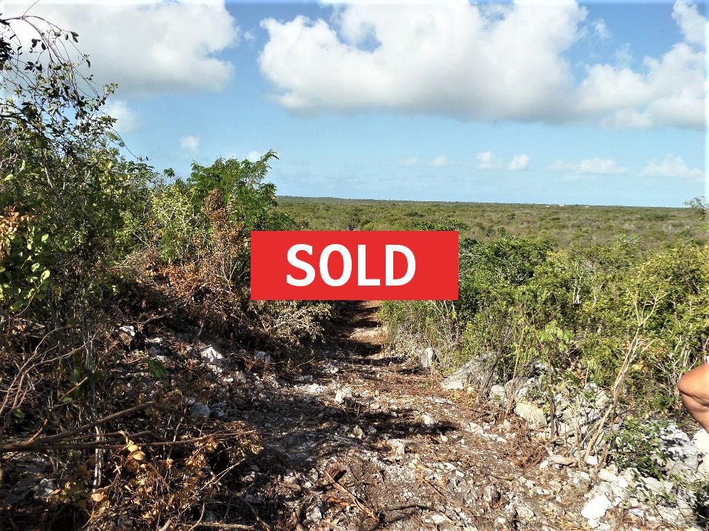 /listing-sold-long-island-acreage-for-sale-37355.html from Coldwell Banker Bahamas Real Estate