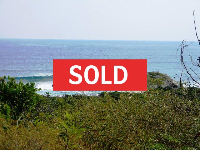 /listing-sold-ocean-view-acreage-scrub-hill-settlement-4053.html from Coldwell Banker Bahamas Real Estate