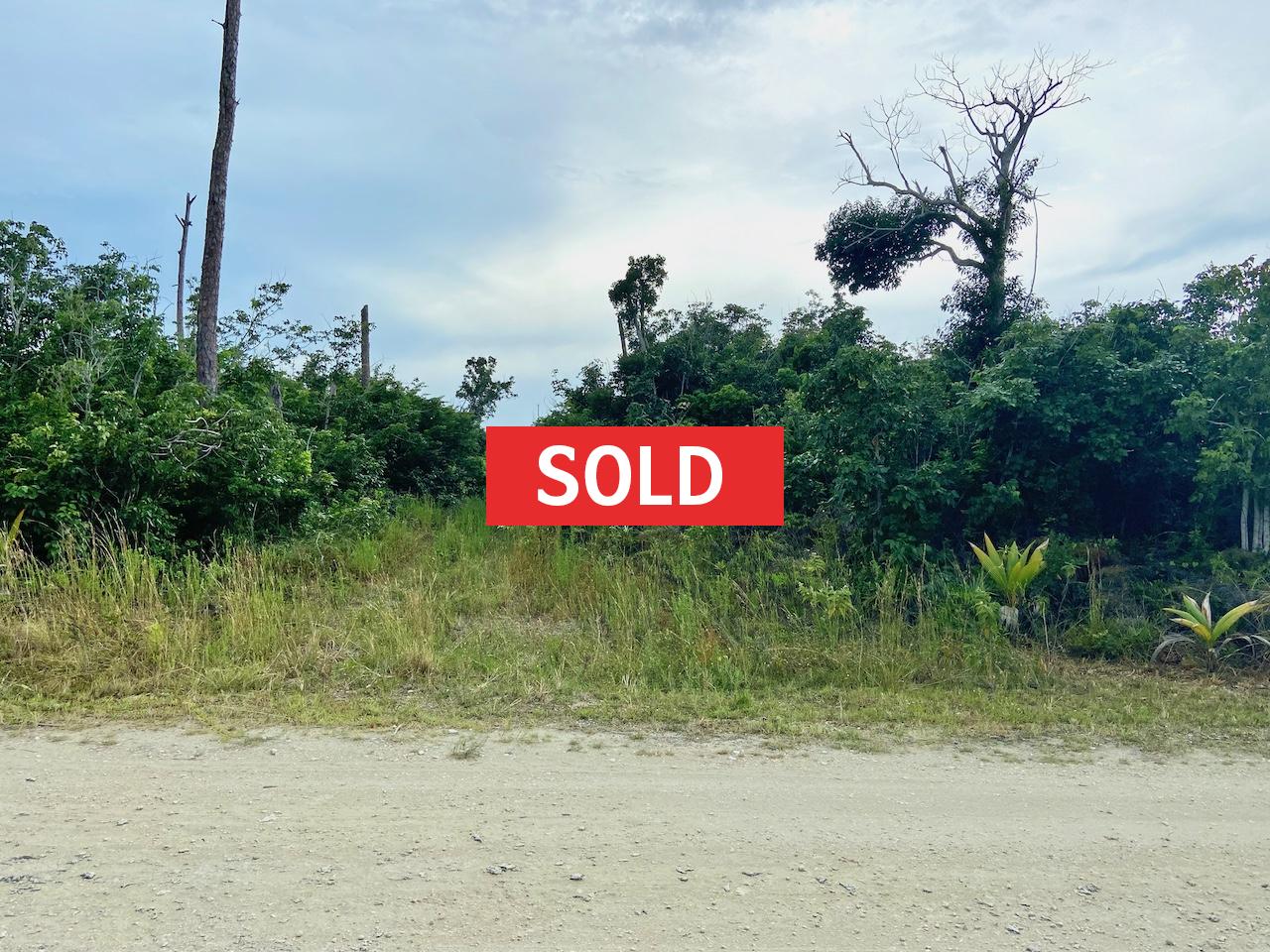 /listing-sold-abaco-vacant-lot-for-sale-41412.html from Coldwell Banker Bahamas Real Estate