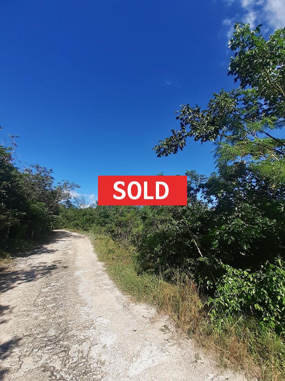/listing-sold-abaco-vacant-lot-for-sale-44913.html from Coldwell Banker Bahamas Real Estate