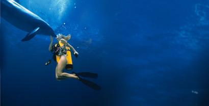 Diving Around the Bimini Islands