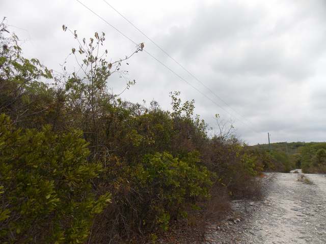 /listing-vacant-lot-12584.html from Coldwell Banker Bahamas Real Estate