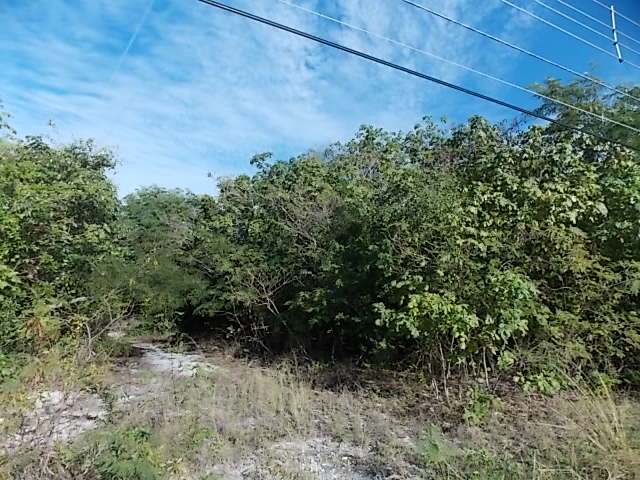 /listing-vacant-lot-12756.html from Coldwell Banker Bahamas Real Estate