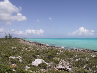 /listing-current-road-1378.html from Coldwell Banker Bahamas Real Estate